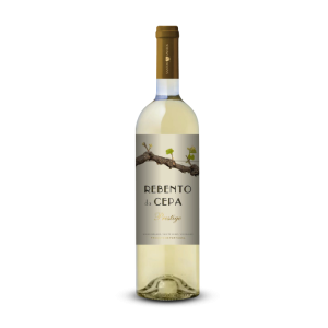 rebento-cepa-branco